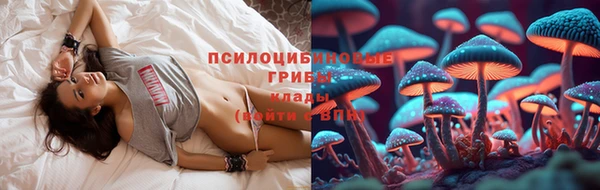 дмт Богородицк