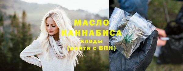 дмт Богородицк
