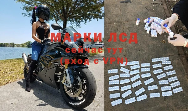 сатива Ступино