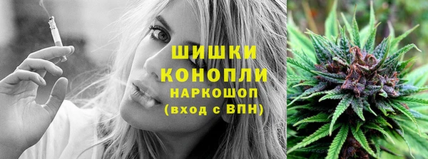 ПСИЛОЦИБИНОВЫЕ ГРИБЫ Белокуриха