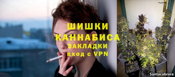 дмт Богородицк