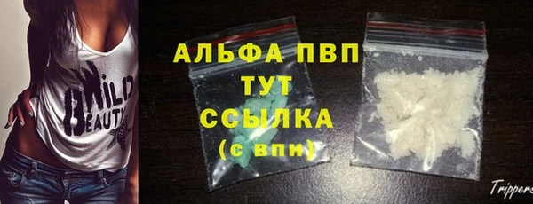 дмт Богородицк