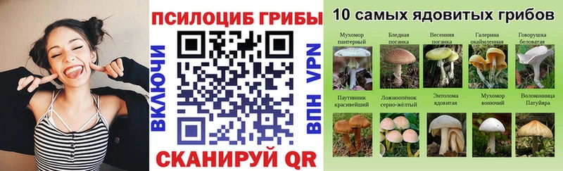 Псилоцибиновые грибы Cubensis  Мглин 